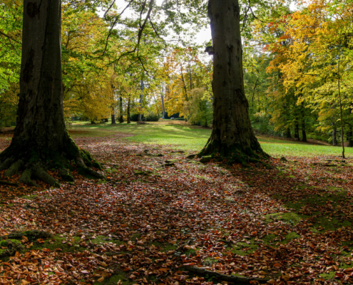 Stadtpark Hainichen
