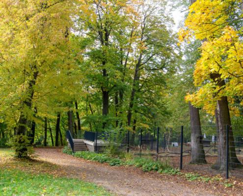 Stadtpark Hainichen
