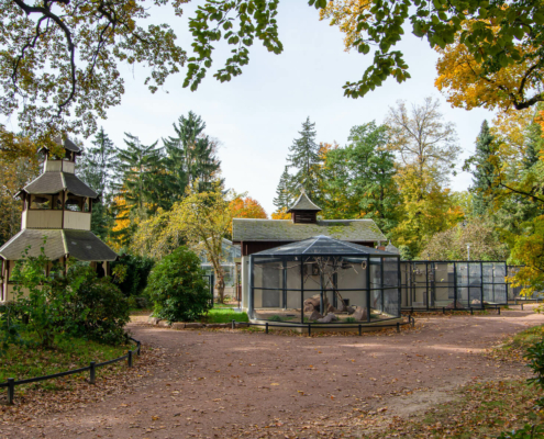Stadtpark Hainichen