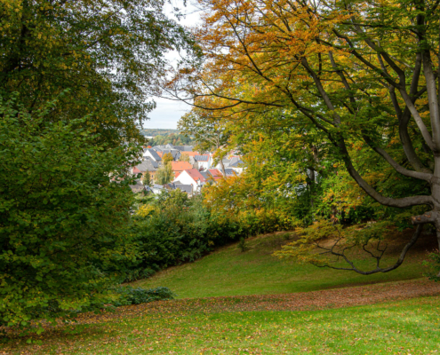 Stadtpark Hainichen