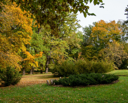 Stadtpark Hainichen