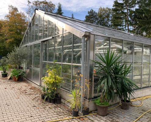 Stadtpark Hainichen