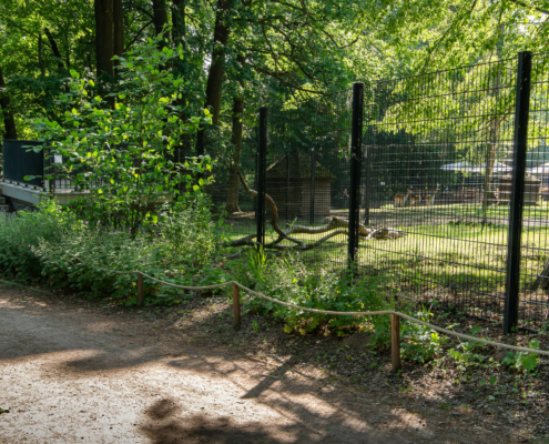 Wildgehege, Stadtpark Hainichen
