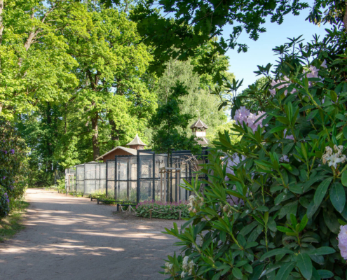 Volieren, Stadtpark Hainichen
