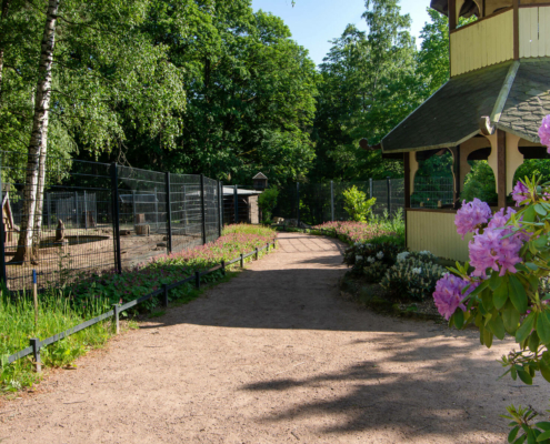 Staudenpflanzung, Stadtpark Hainichen