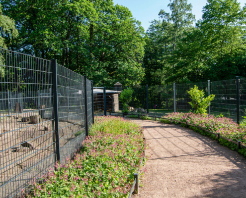 Staudenpflanzung, Stadtpark Hainichen