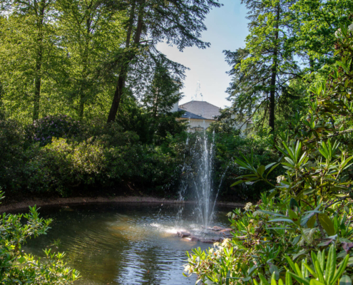 Teich mit Fontaine, Stadtpark Hainichen